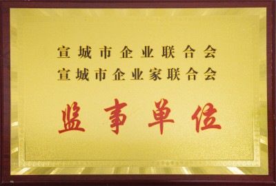 宣城市企業(yè)聯(lián)合會、聯(lián)合會監(jiān)事單位
